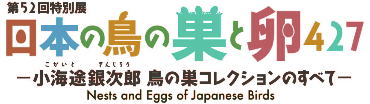 特別展「日本の鳥の巣と卵427 ～小海途銀次郎 鳥の巣コレクションの